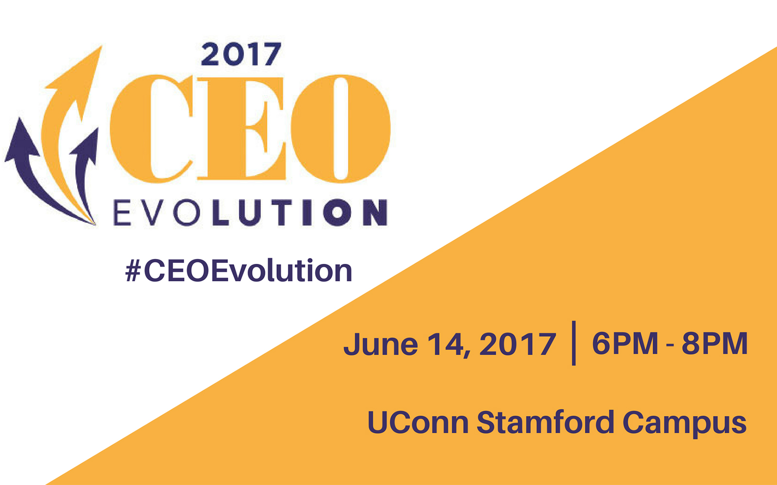 CEO Evolution 2017