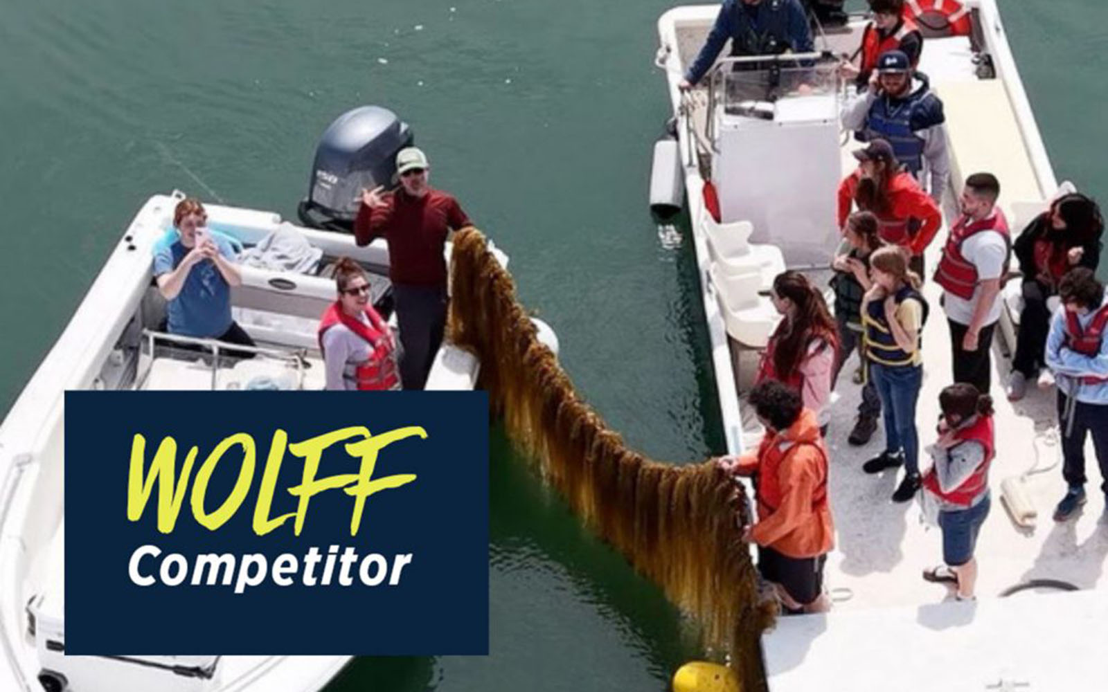 People standing in two small boats hold a line laden with seaweed between them.